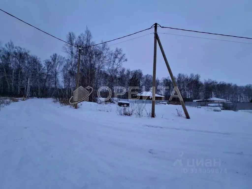 Участок в Тюменская область, Тюмень Поляна садовое общество, ул. ... - Фото 1