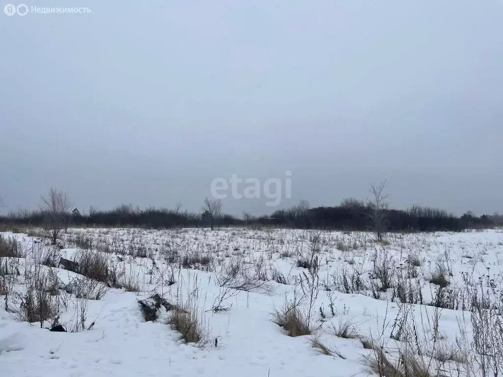 Участок в городской округ Ульяновск, село Карлинское (6 м) - Фото 0
