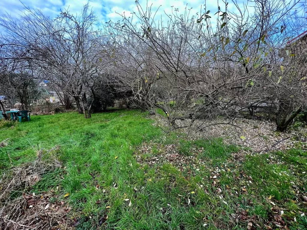 Участок в Краснодарский край, Сочи городской округ, с. Нижняя Шиловка  ... - Фото 0