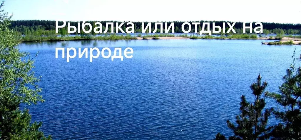 Дом в Ленинградская область, Кировский район, Мгинское городское ... - Фото 1