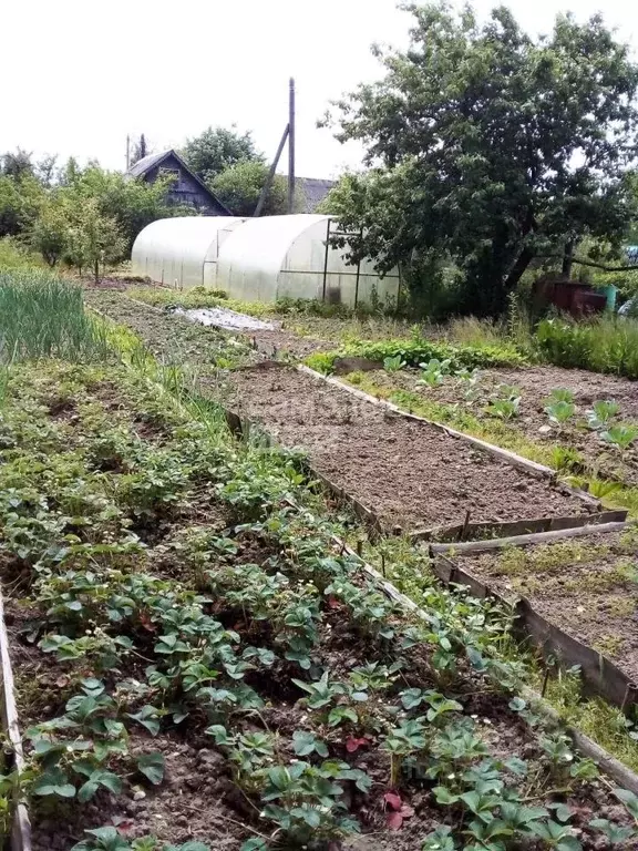 Дом в Ивановская область, Ивановский муниципальный округ, д. Игнатово, ... - Фото 2