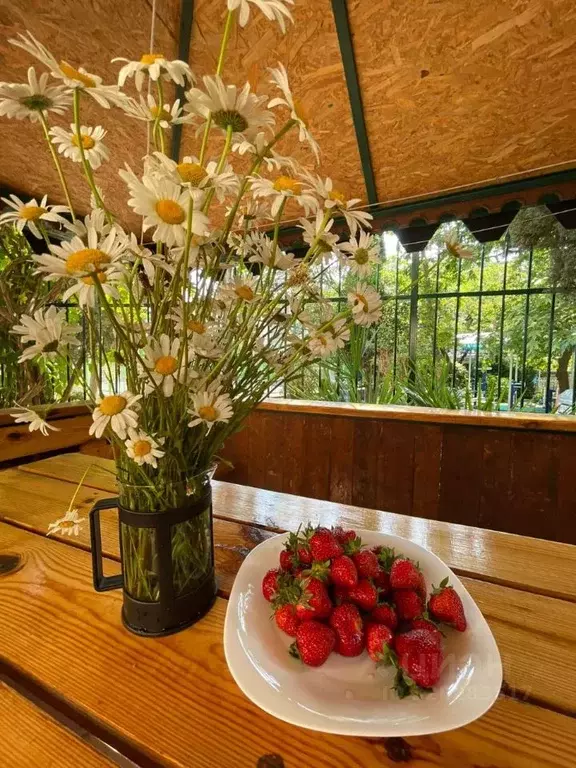 1-к кв. Крым, Ялта ул. Руданского, 24 (30.0 м) - Фото 2