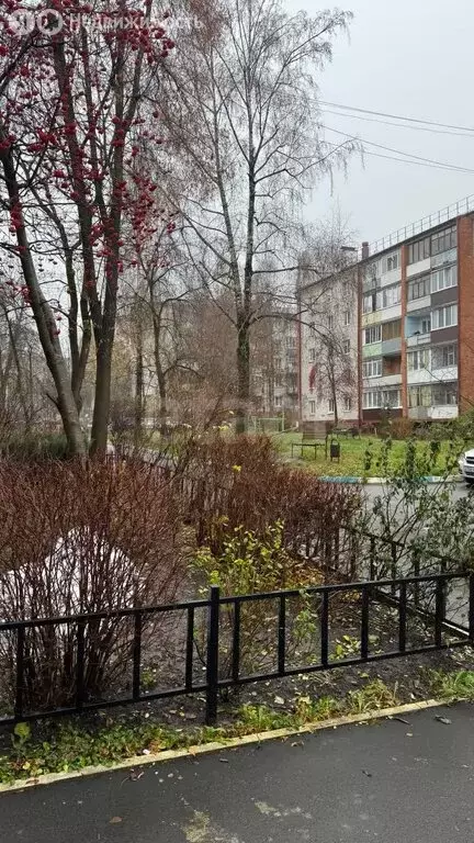 1-комнатная квартира: Брянск, улица Емлютина, 41 (29.6 м) - Фото 2