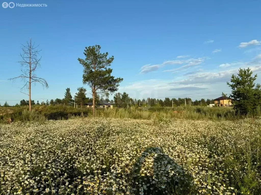 Участок в Новая Беденьга, Родниковая улица (8 м) - Фото 0