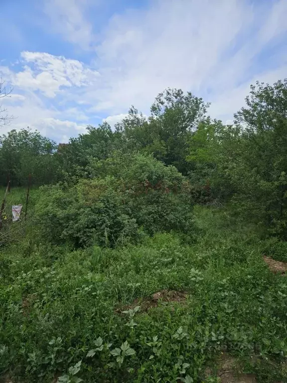 Участок в Ростовская область, Новочеркасск Троицкая ул., 107 (6.0 ... - Фото 1