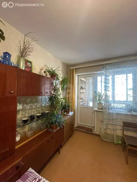 1-комнатная квартира: Благовещенск, улица Калинина, 134 (35.4 м) - Фото 1