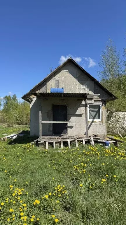 Участок в Калининградская область, Калининград Мелиоратор СНТ, ул. ... - Фото 0