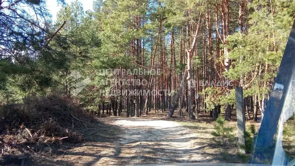 Участок в Заборьевское сельское поселение, садоводческое товарищество ... - Фото 1