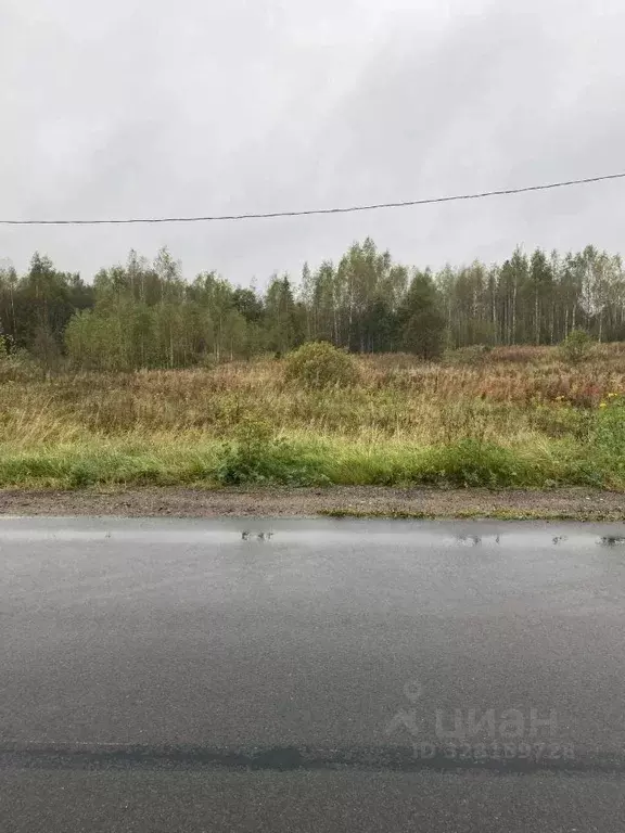 Участок в Новгородская область, Маловишерский район, Бургинское с/пос, ... - Фото 2
