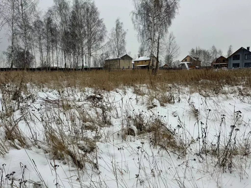 Участок в Московская область, Богородский городской округ, д. Шульгино ... - Фото 0