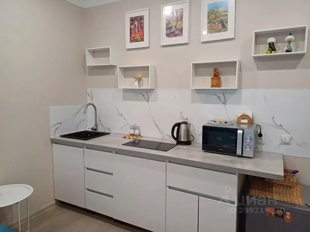 Студия Башкортостан, Уфа Коммунистическая ул., 98/1 (28.0 м) - Фото 2