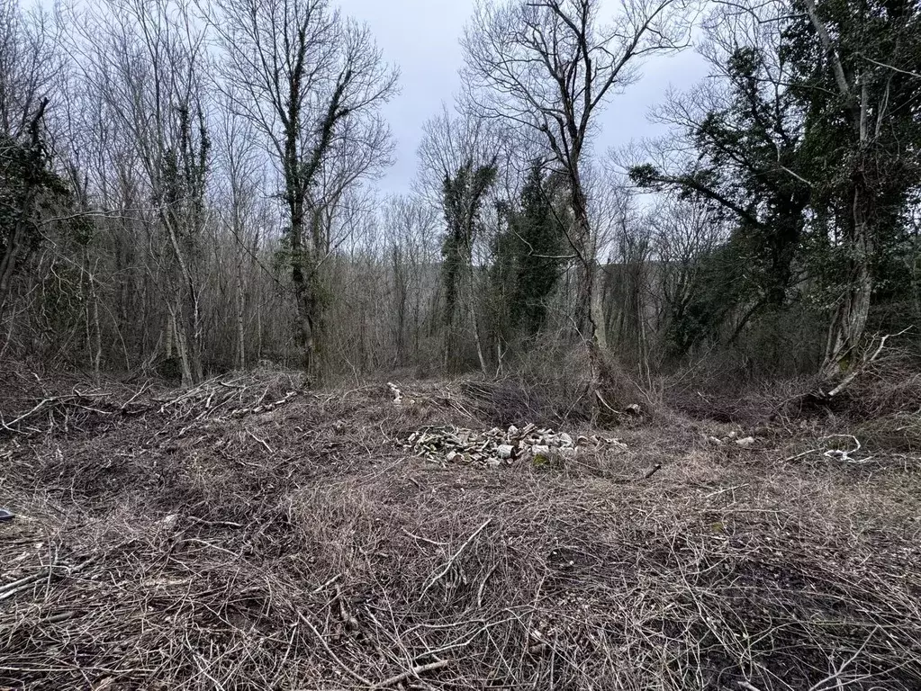 Участок в Краснодарский край, Геленджик ул. Ленина (10.0 сот.) - Фото 1