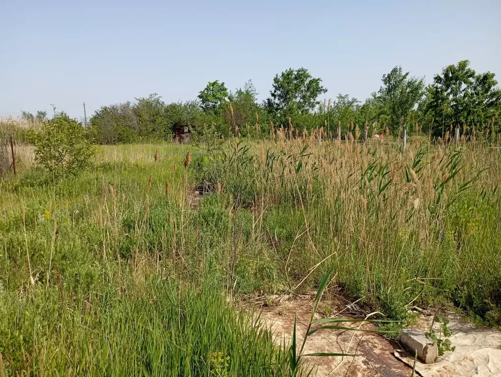 Участок в Волгоградская область, Городищенский район, Новонадеждинское ... - Фото 0