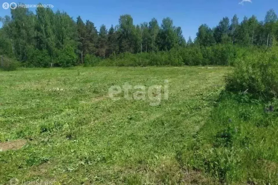 Участок в Кундышское сельское поселение, СНП Лесная Сказка (10 м) - Фото 2