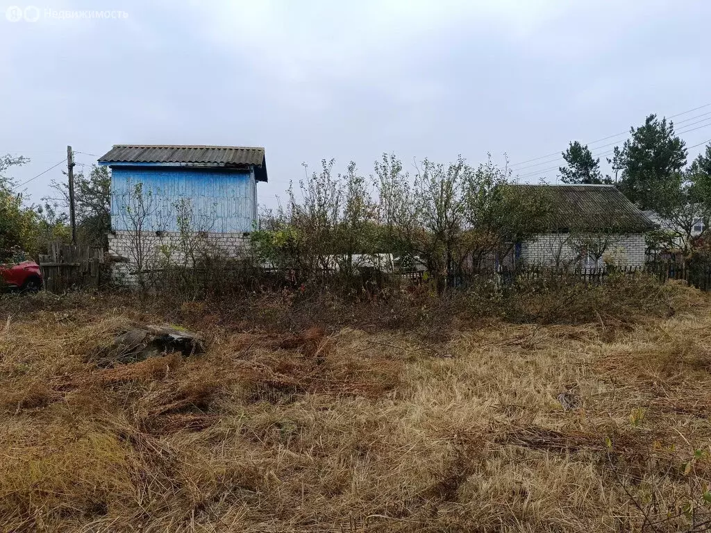 Дом в Брянск, садоводческое объединение Садовод, 441 (20 м) - Фото 1