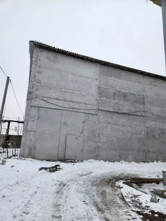 Помещение свободного назначения в Алтайский край, Барнаул просп. ... - Фото 2