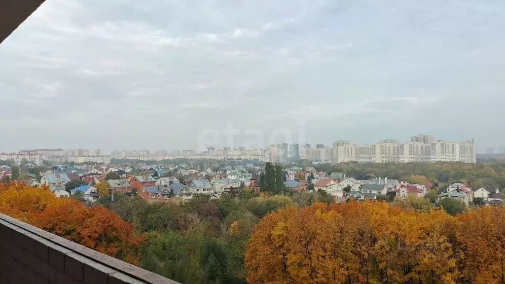 1-к кв. Воронежская область, Воронеж пер. Здоровья, 90/4 (38.8 м) - Фото 1