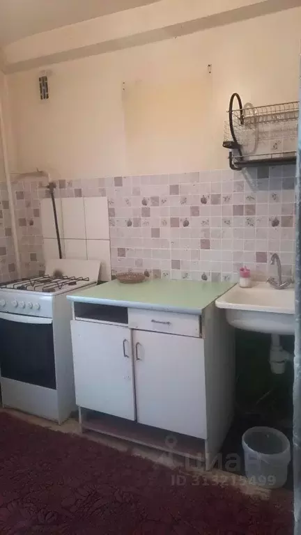 1-к кв. Алтайский край, Барнаул ул. Георгия Исакова, 244 (32.0 м) - Фото 1