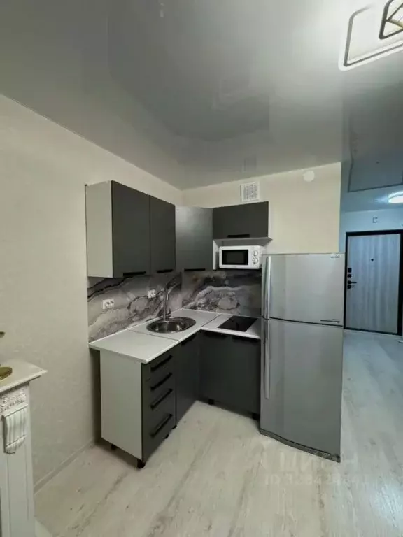 Студия Тверская область, Калининский муниципальный округ, д. Батино ... - Фото 2