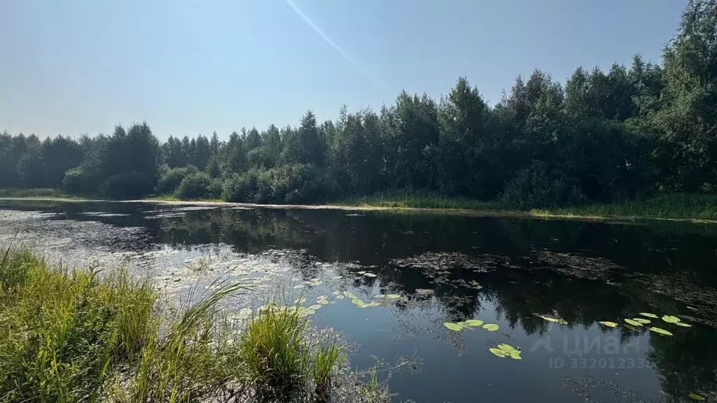 Участок в Пермский край, Пермский муниципальный округ, д. Берег Камы ... - Фото 1