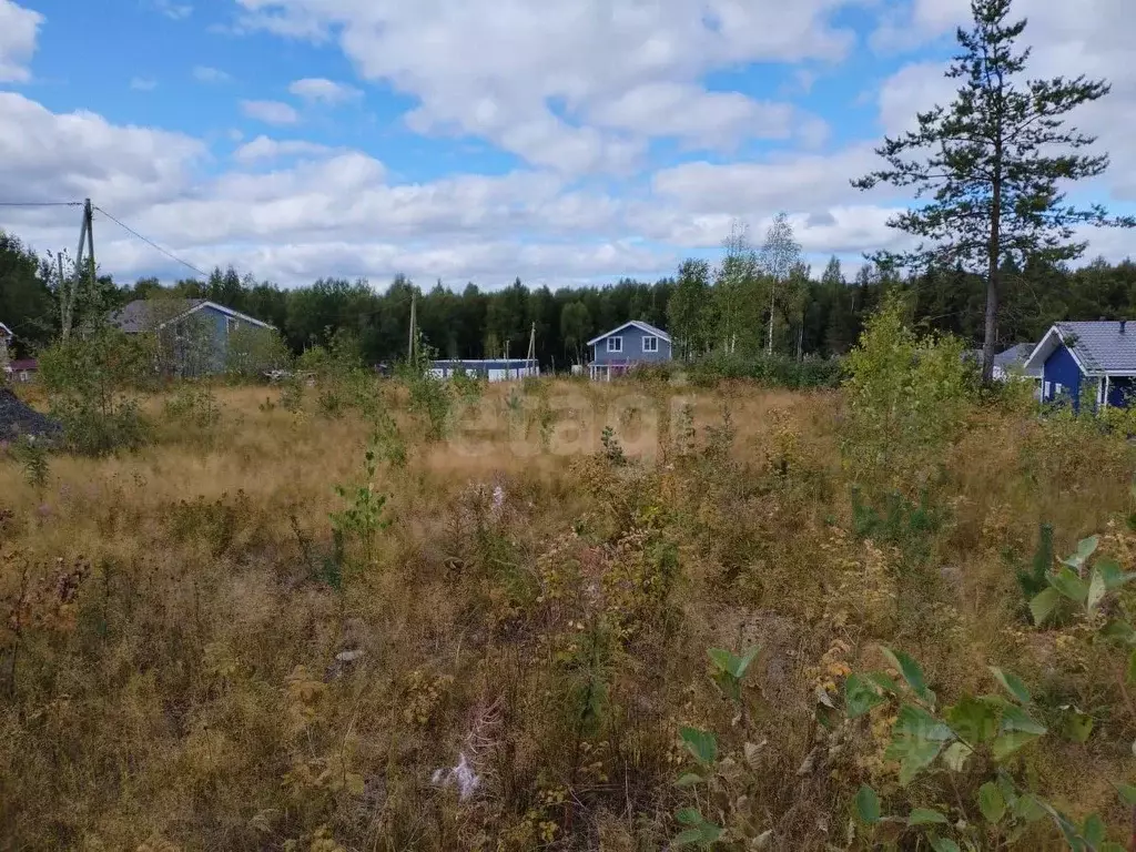 Участок в Карелия, Прионежский район, с. Заозерье ул. Аквамариновая ... - Фото 0