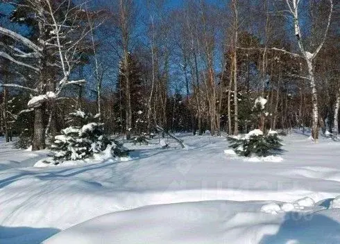 Участок в Московская область, Серпухов городской округ, д. Дашковка  ... - Фото 1