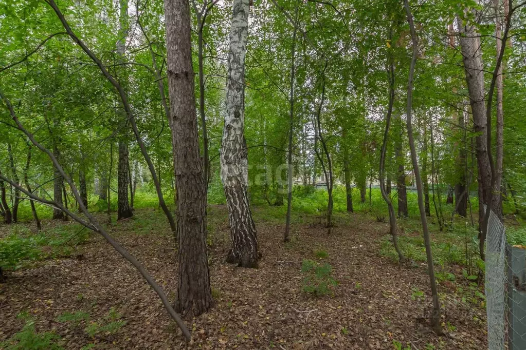 Участок в Новосибирская область, Новосибирский район, Барышевский ... - Фото 0