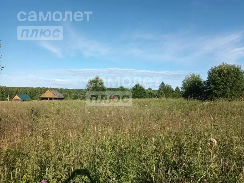 Участок в Вологодская область, Дикая ж/д_ст  (15.91 сот.) - Фото 1