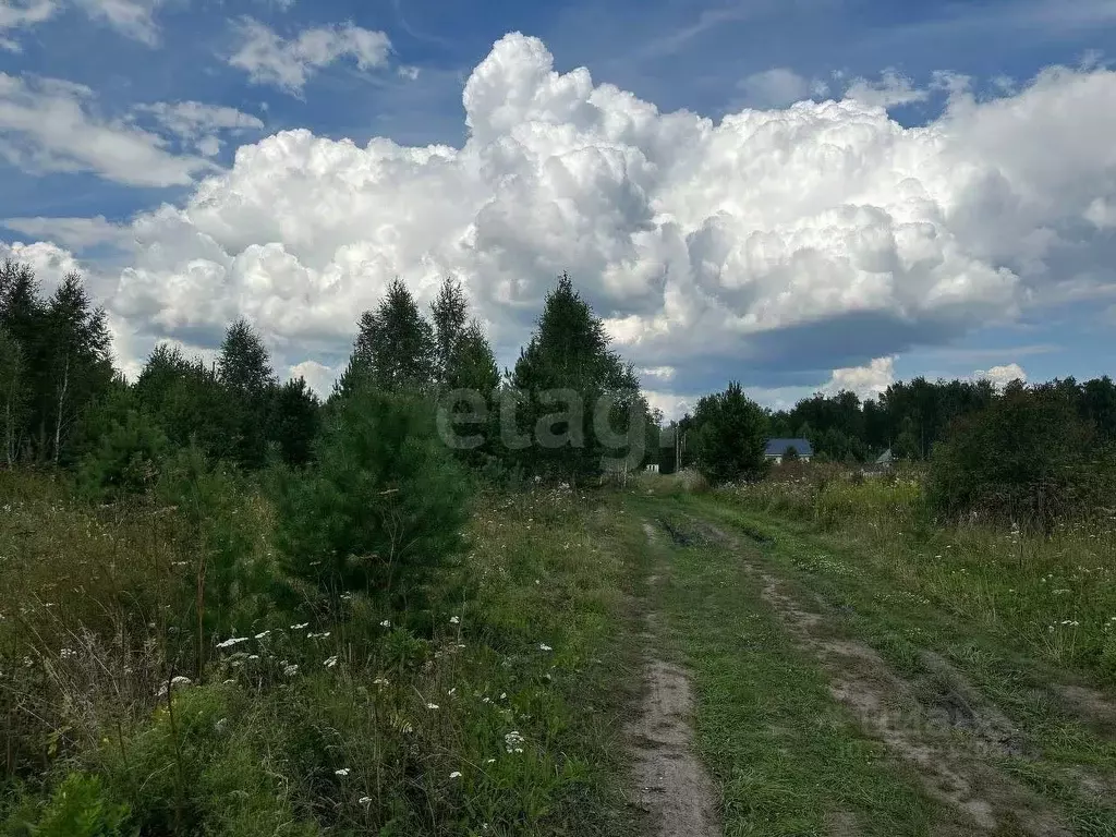 Участок в Тюменская область, Тюменский муниципальный округ, Исток СНТ  ... - Фото 1