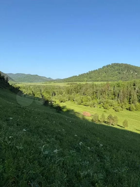 Участок 2,85 га (СНТ, ДНП) - Фото 1