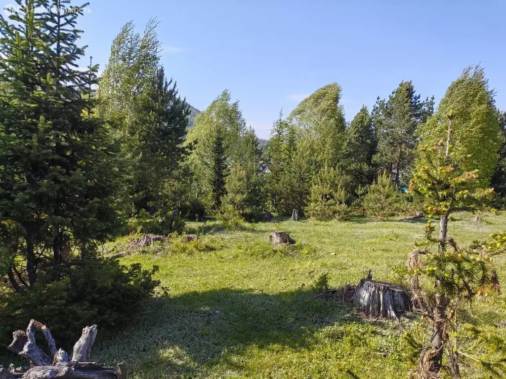 Участок в село Турочак, Зелёная улица (10 м) - Фото 1