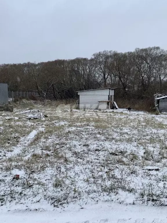 Участок в Московская область, Воскресенск городской округ, с. Осташово ... - Фото 2