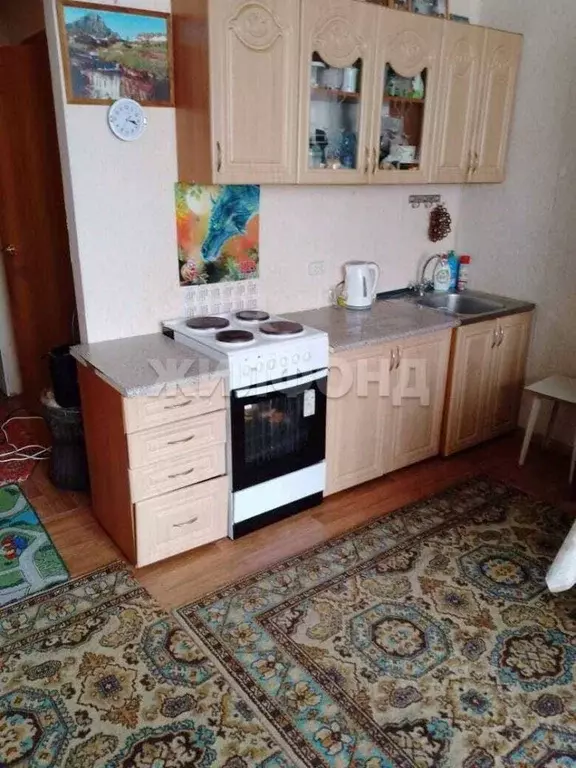 Студия Новосибирская область, Новосибирск Воскресная ул., 38 (28.0 м) - Фото 0