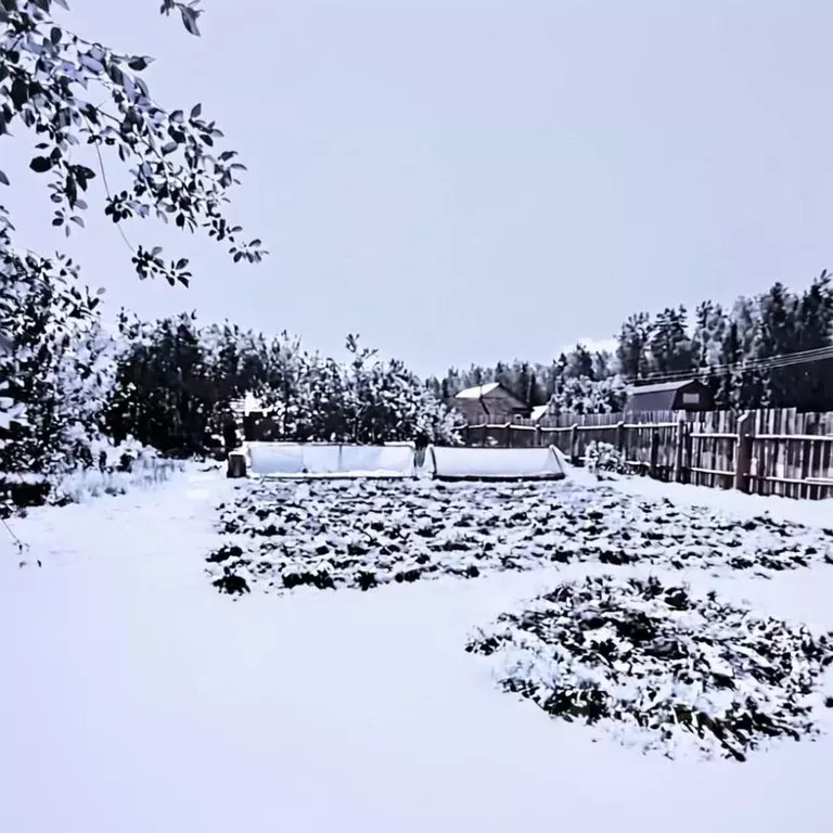 Дом в Нижегородская область, Балахнинский муниципальный округ, д. ... - Фото 2