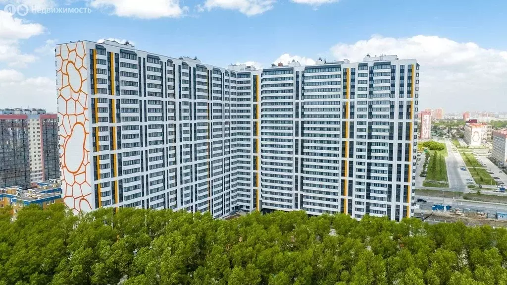 Квартира-студия: Новосибирск, улица Дмитрия Шмонина, 10/1 (30 м) - Фото 2