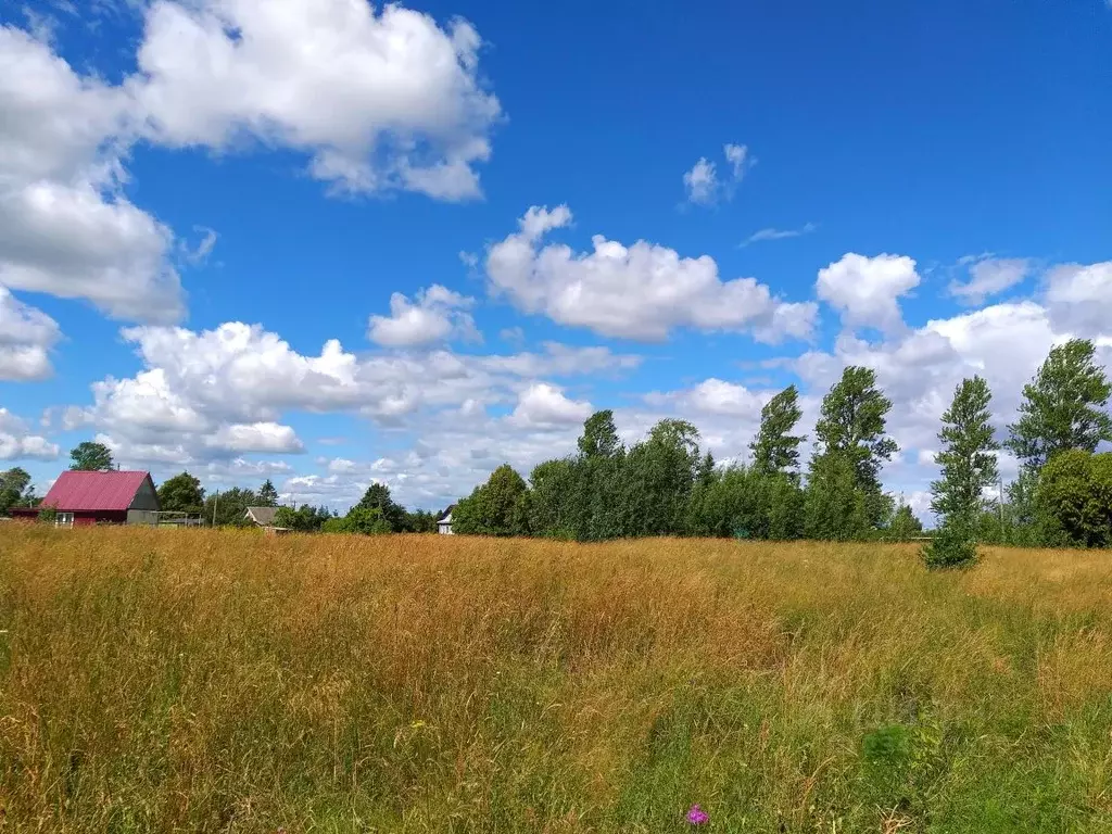 Участок в Новгородская область, Старорусский район, Наговское с/пос, ... - Фото 0