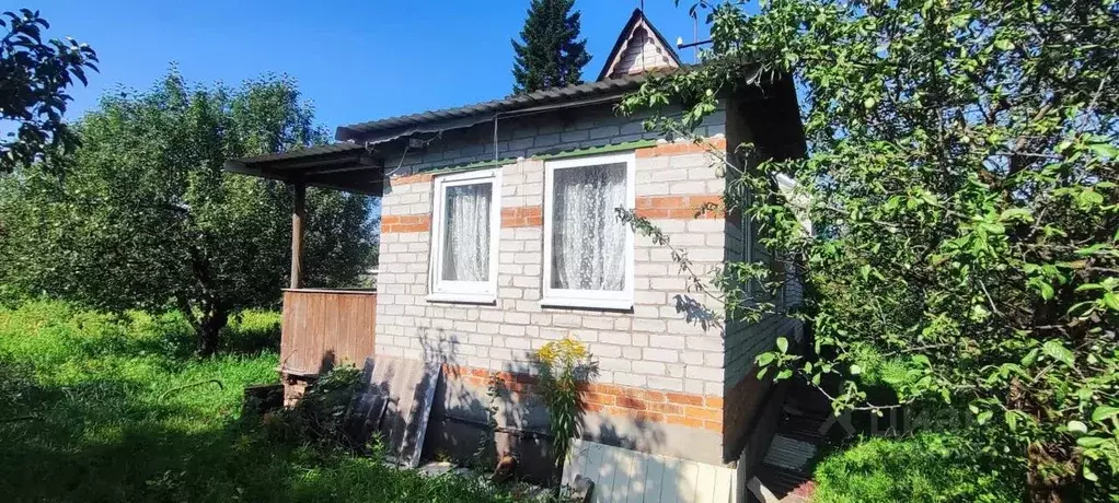 Дом в Воронежская область, Рамонский район, Новоживотинновское с/пос, ... - Фото 2