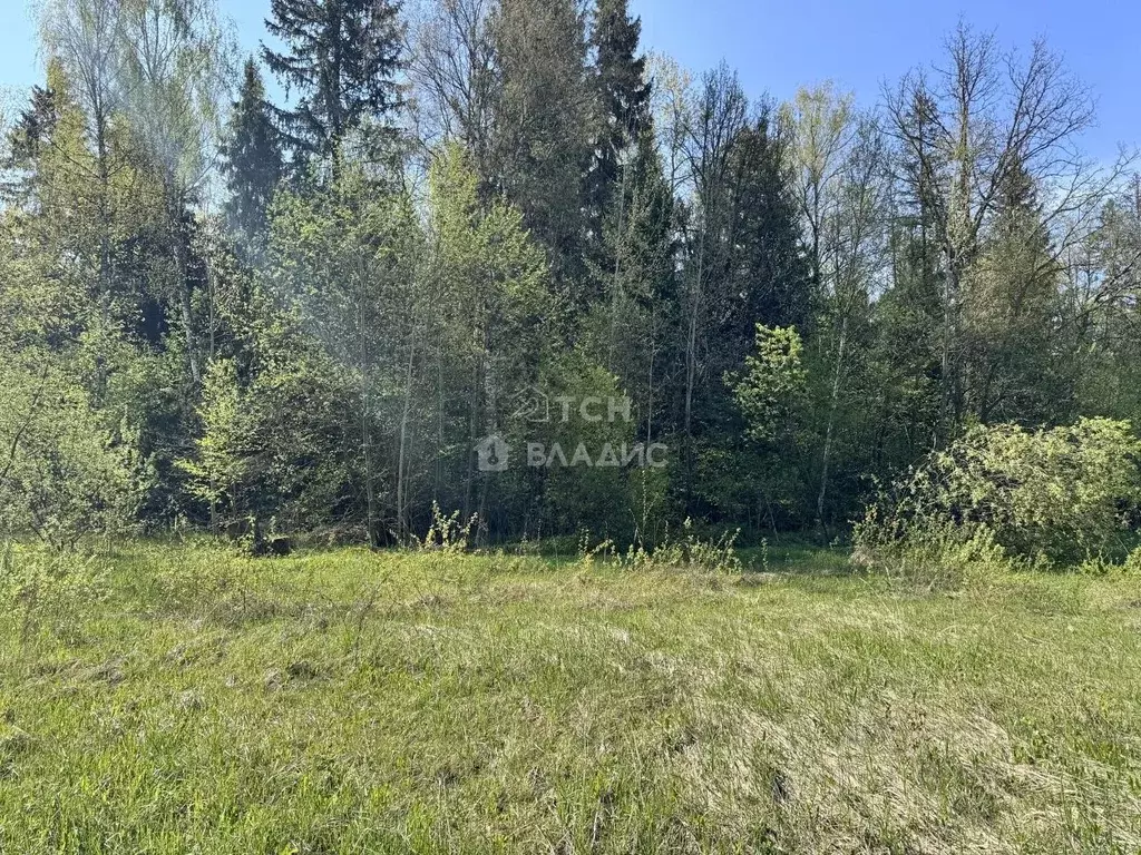 Участок в Московская область, Пушкинский городской округ, д. Могильцы, ... - Фото 1