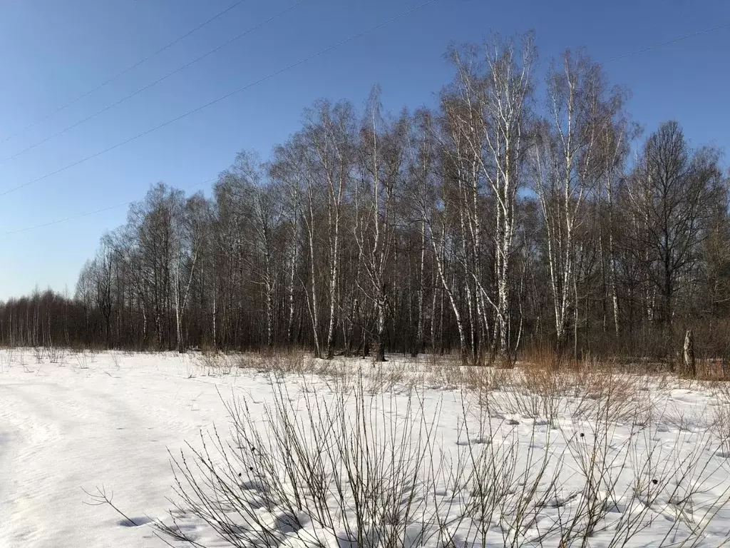 Участок в Тульская область, Заокский район, Страховское с/пос, д. ... - Фото 2