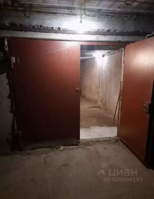 Гараж в Амурская область, Благовещенск Театральная ул., 94 (21 м) - Фото 1