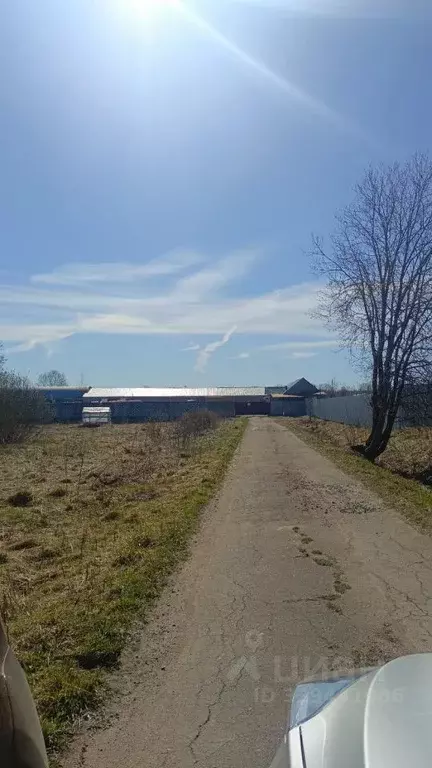 Участок в Новгородская область, Чудовский муниципальный район, ... - Фото 1