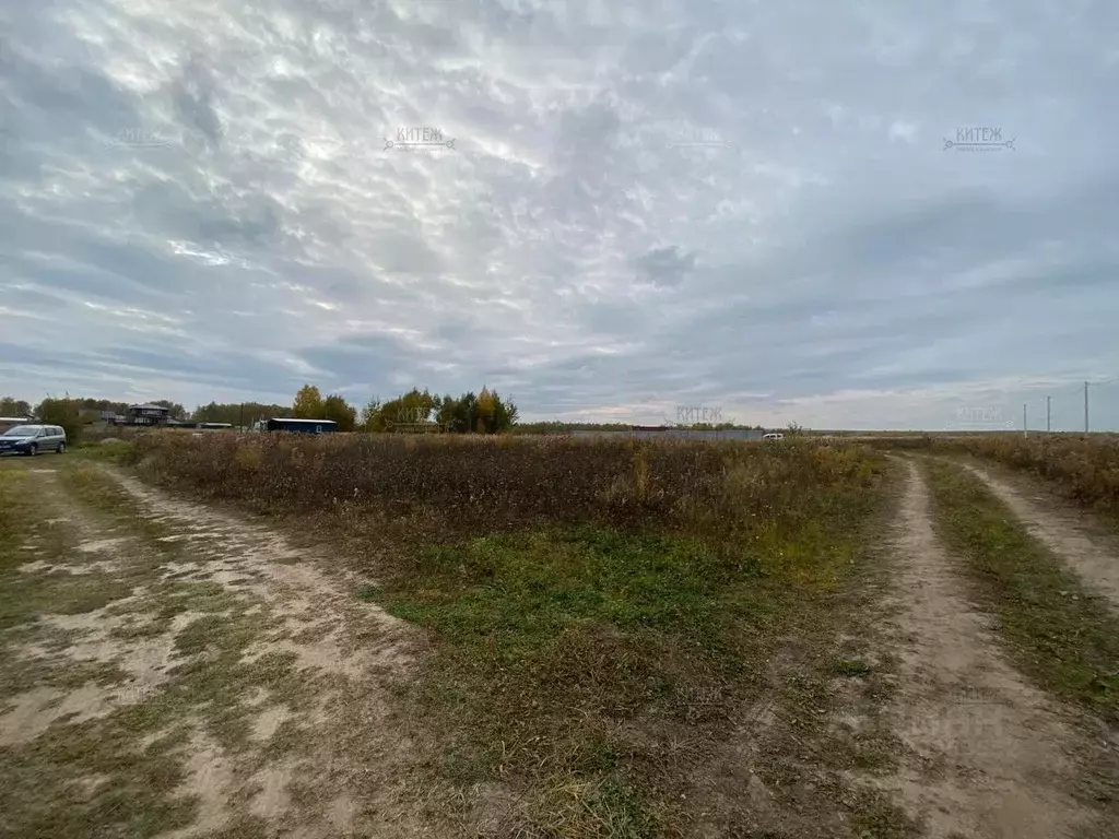 Участок в Калужская область, Бабынинский район, Воротынск городское ... - Фото 2