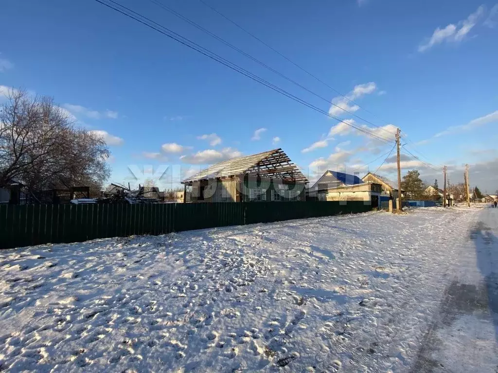 Дом в Алтайский край, Павловский район, с. Черемное Первомайская ул. ... - Фото 2