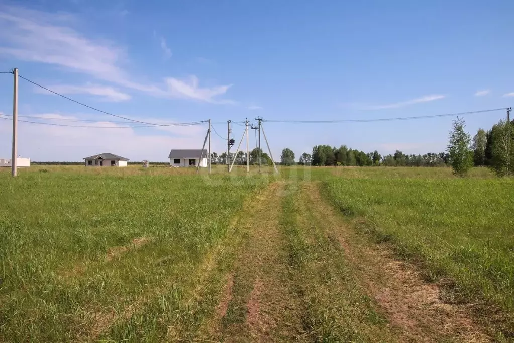 Участок в Алтайский край, Первомайский район, с. Фирсово, Полесье мкр  ... - Фото 2