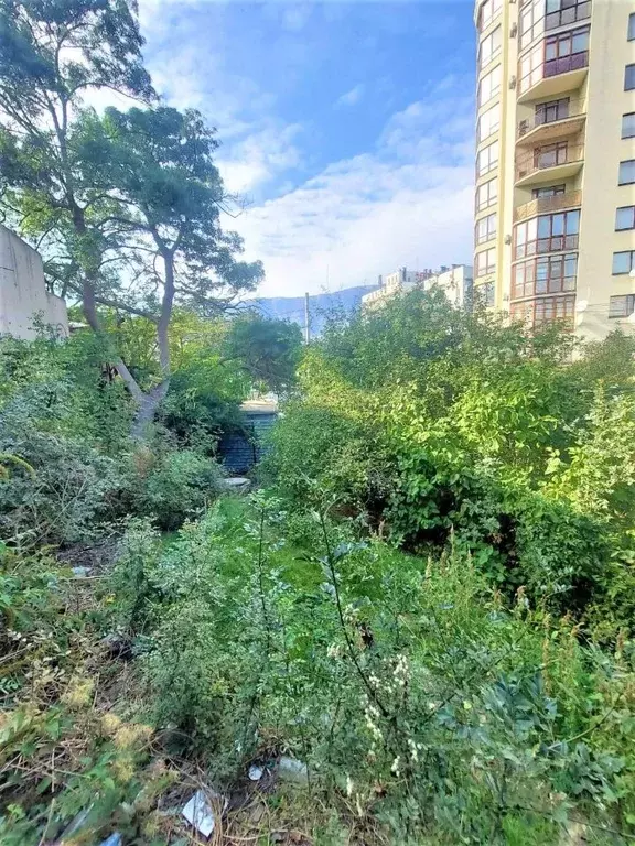 Участок в Крым, Ялта ул. Красноармейская, 10 (3.5 сот.) - Фото 0