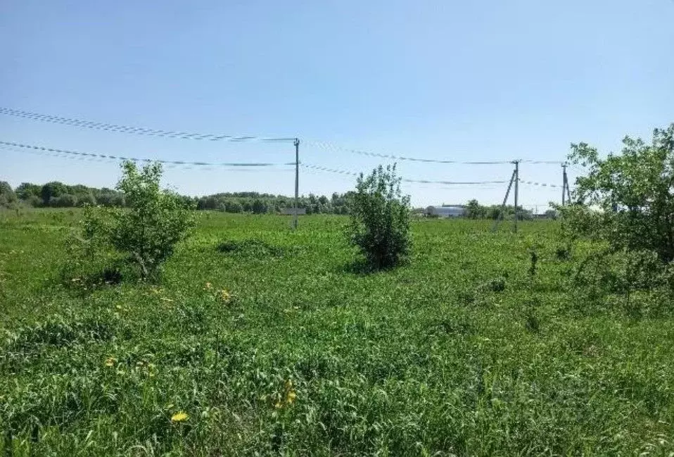 Участок в Московская область, Дмитровский муниципальный округ, д. ... - Фото 1