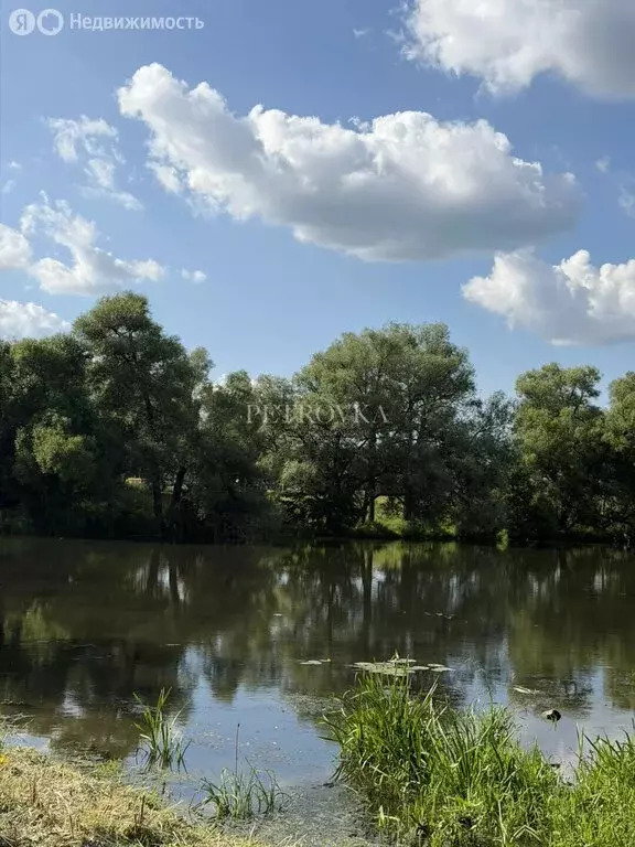 Участок в Московская область, городской округ Ступино, село ... - Фото 1