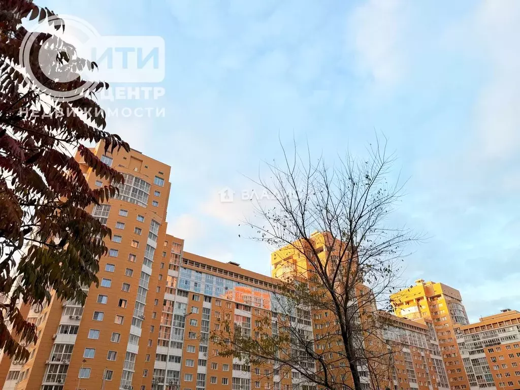 1-к кв. Воронежская область, Воронеж ул. Революции 1905 года, 31Ю ... - Фото 2