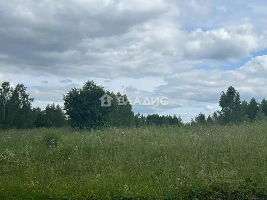 Участок в Нижегородская область, Богородский муниципальный округ, д. ... - Фото 0