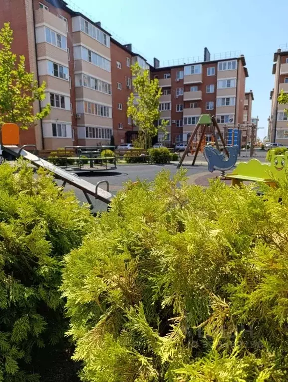 1-к кв. Адыгея, Тахтамукайский район, Старобжегокайское с/пос, Новая ... - Фото 0